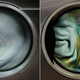 Illustration for article titled Scary creatures are hiding inside our washing machines
